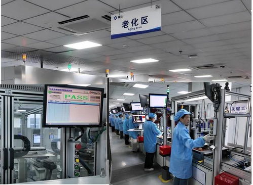 新春走基层 | 春节不打烊 上海技术驱动，近万充电桩扬帆出海巴西